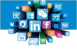 互聯網品牌營銷與銷售的真實圖景 光環背后，回歸本質